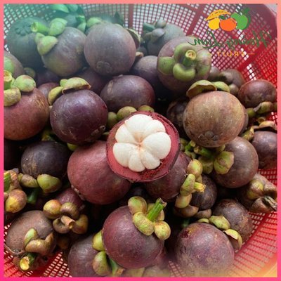 Măng Cụt Bến Tre Giòn Ngọt Túi 2kg
